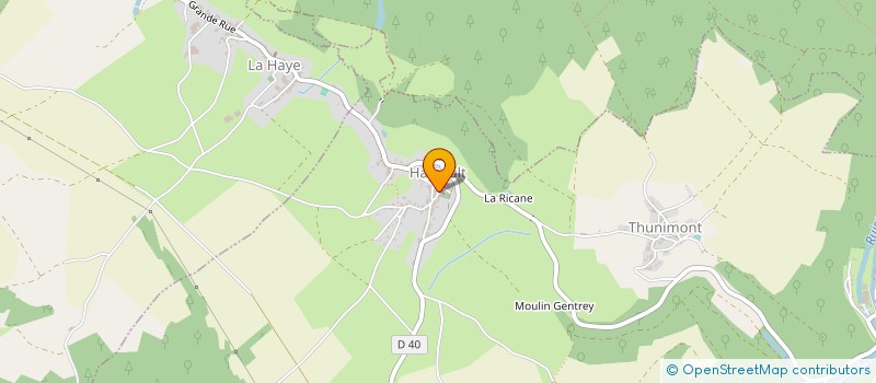 localisation de l'entreprise RAIF  LA VOGE-LES-BAINS