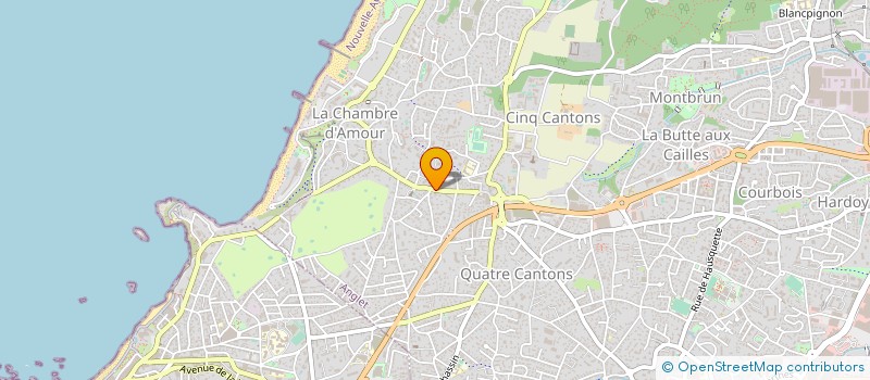 localisation de l'entreprise RAINBOW SURF SCHOOL à ANGLET