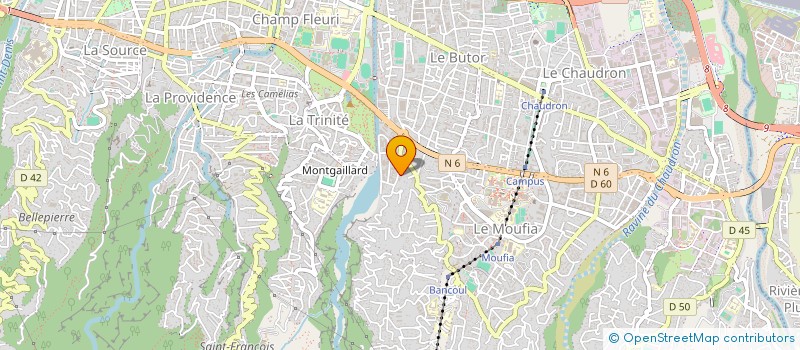 localisation de l'entreprise RAJPAR N IMMOBILIER à SAINT-DENIS