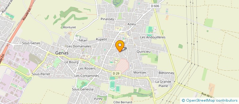 localisation de l'entreprise RALIANCE  GENAS