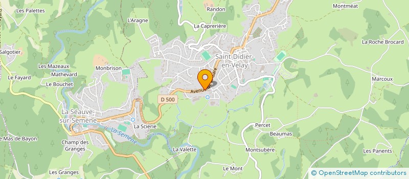 localisation de l'entreprise RALLYMAN  SAINT-DIDIER-EN-VELAY