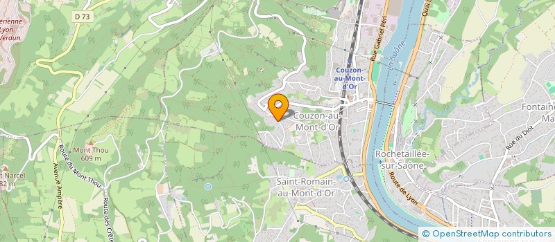 localisation de l'entreprise RAMONAGE & SOLUTIONS  COUZON-AU-MONT-D'OR