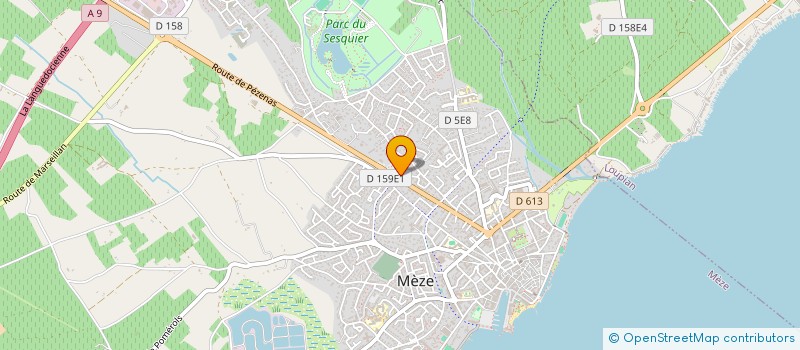 localisation de l'entreprise RAMOND / LAUGAUDIN INDIVISION à MEZE