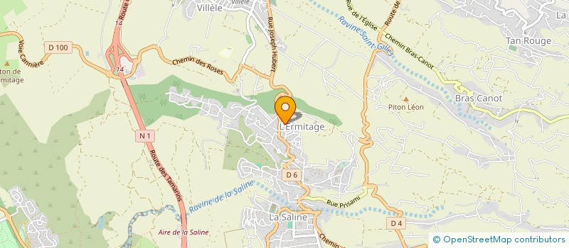 localisation de l'entreprise RAMSAMY THOMAS CYRILLE  SAINT-PAUL