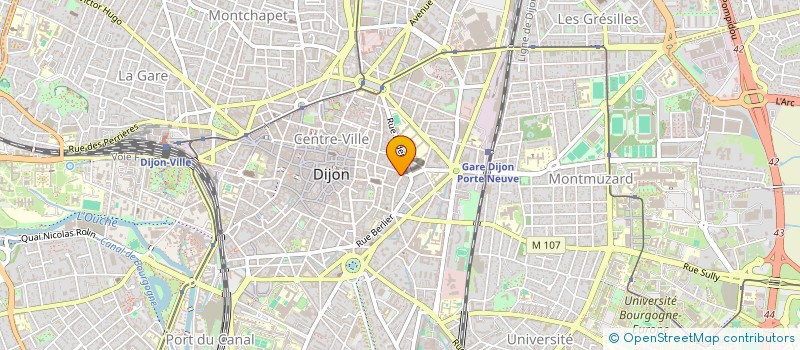 localisation de l'entreprise RANA AFG  DIJON