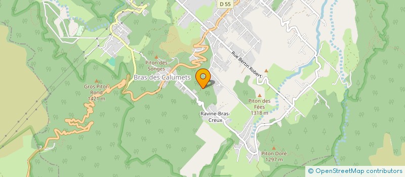 localisation de l'entreprise RANCH CLAIN INFANTE JOSHUA CAMERON CALVIN  LA PLAINE-DES-PALMISTES