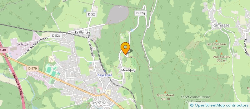 localisation de l'entreprise RANCH DES ROCHETTES à CEYZERIAT