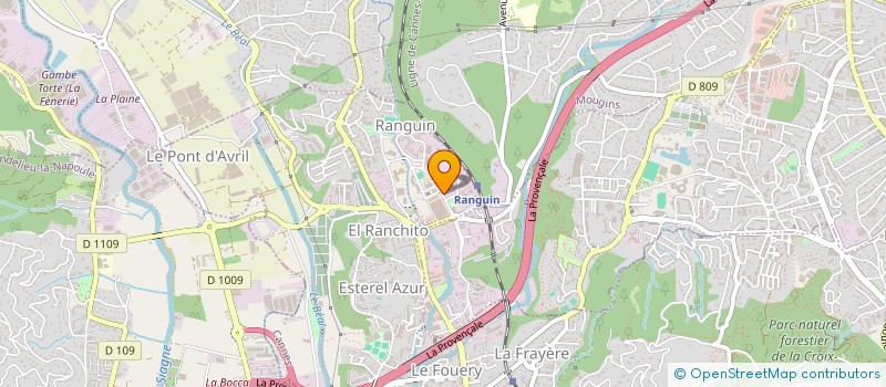 localisation de l'entreprise RANDIS  CANNES