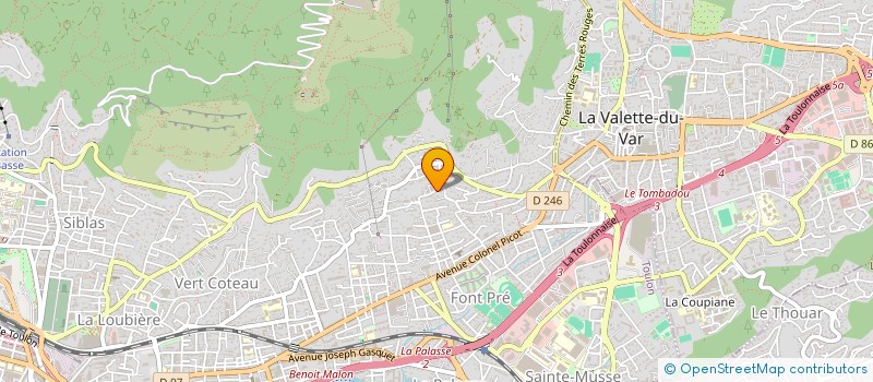 localisation de l'entreprise RAPHAEL  TOULON