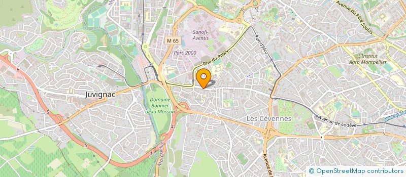 localisation de l'entreprise RAPID'CONSEILS à MONTPELLIER