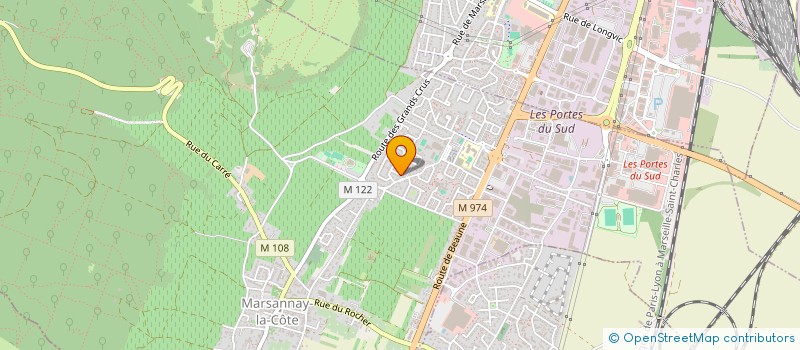 localisation de l'entreprise RAPIN TRANSPORT SERVICE à MARSANNAY-LA-COTE