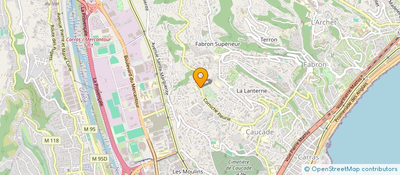 localisation de l'entreprise RAPSON CONSULTING à NICE