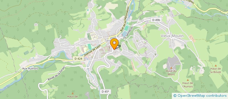 localisation de l'entreprise RAQUELITA  SENONES