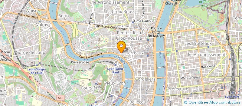localisation de l'entreprise RASKINE & COMPAGNIE à LYON
