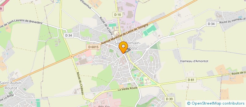 localisation de l'entreprise RASPAIL FLEURS  SAINT-ROMAIN-DE-COLBOSC