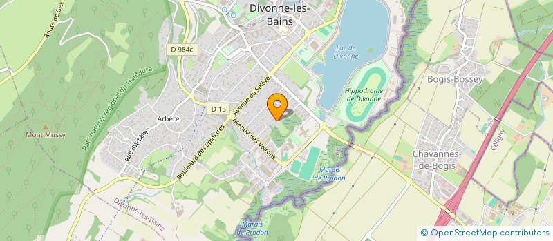 localisation de l'entreprise RATPI  DIVONNE-LES-BAINS