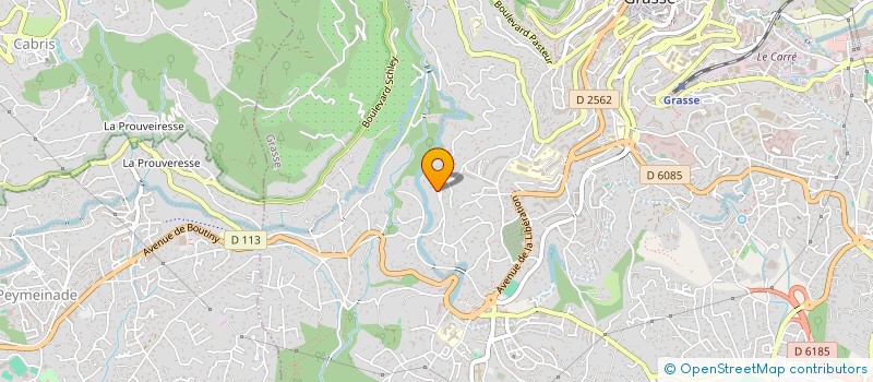 localisation de l'entreprise RAVERDY  GRASSE