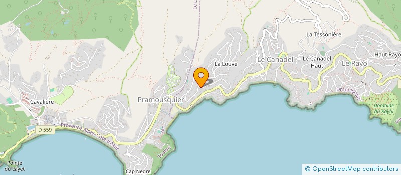 localisation de l'entreprise RAY NETT à RAYOL-CANADEL-SUR-MER
