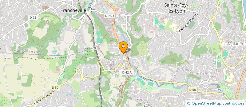 localisation de l'entreprise RAY'S FOOD  SAINTE-FOY-LES-LYON