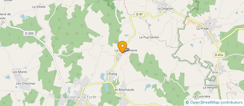 localisation de l'entreprise RAYNAUD IMMO 87  COGNAC-LA-FORET