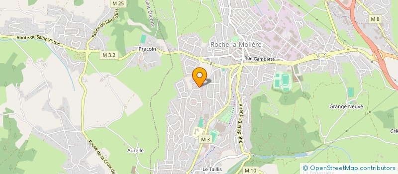 localisation de l'entreprise RAYNAUD INVEST  ROCHE-LA-MOLIERE