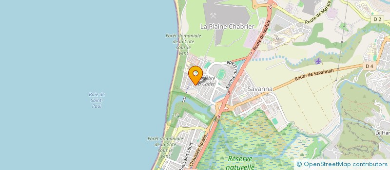 localisation de l'entreprise RAYON VERT à SAINT-PAUL