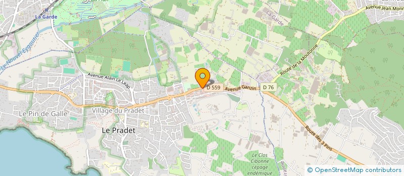 localisation de l'entreprise RAYONS DE SOURIRES  LE PRADET