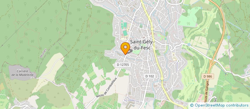 localisation de l'entreprise RC2M  SAINT-GELY-DU-FESC