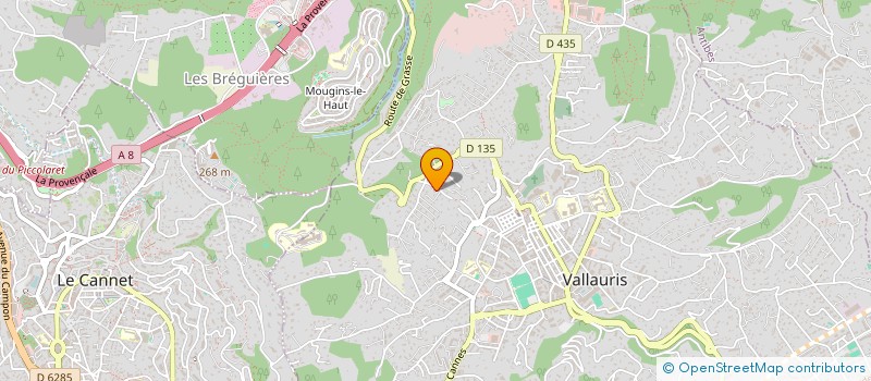 localisation de l'entreprise RCI IMMO à VALLAURIS