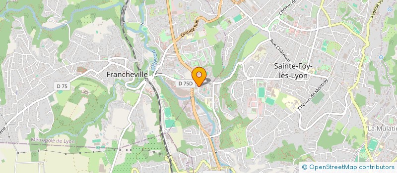 localisation de l'entreprise RD LUXURY à SAINTE-FOY-LES-LYON