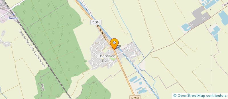 localisation de l'entreprise RDLS AUTOMOBILES  THOREY-EN-PLAINE