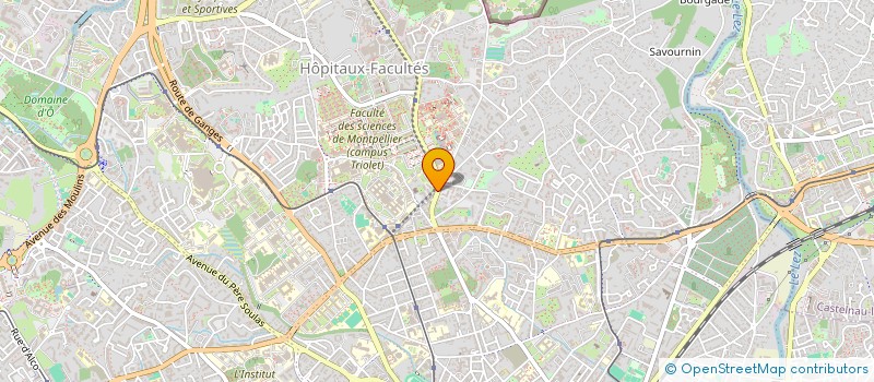 localisation de l'entreprise RDS 34 à MONTPELLIER