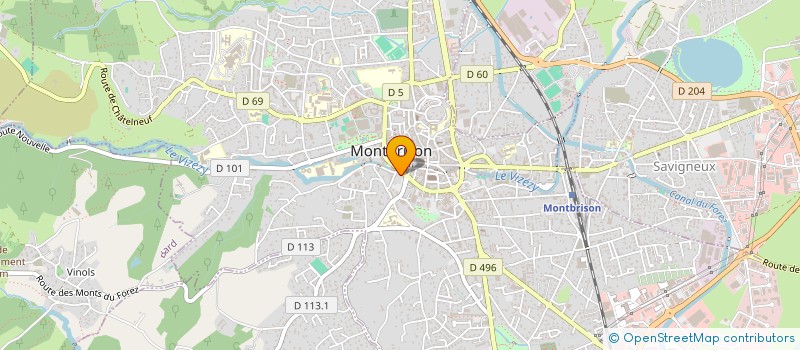 localisation de l'entreprise REAL BLUE CONSEIL FRANCE  MONTBRISON