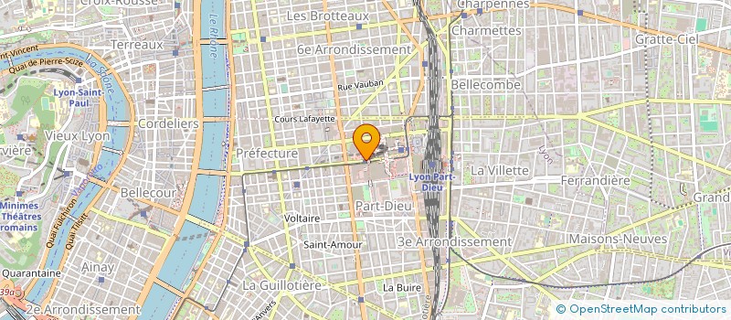 localisation de l'entreprise REAL BLUE PROPERTY  LYON