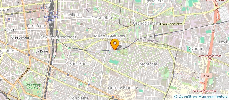 localisation de l'entreprise REAL ESTATE AGENCY LYON  LYON