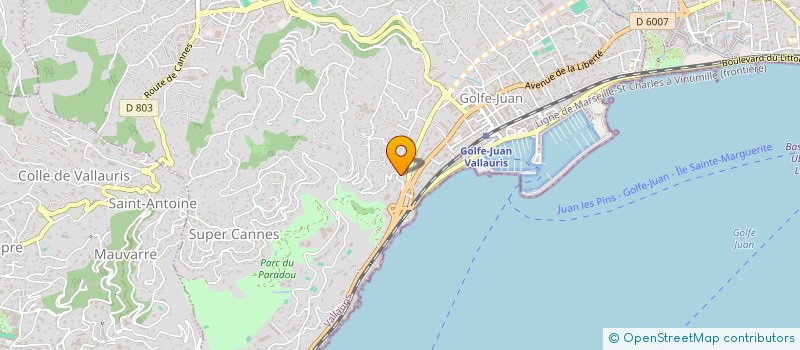 localisation de l'entreprise REAL HOLDING  VALLAURIS