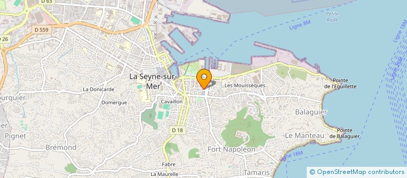 localisation de l'entreprise REAL VTC  LA SEYNE-SUR-MER