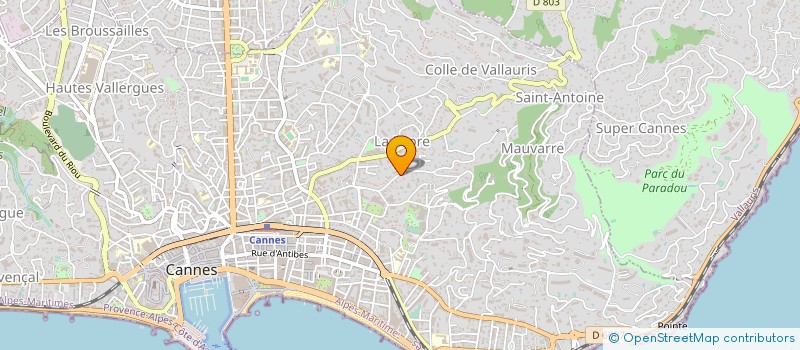 localisation de l'entreprise REALYS ESTHETIC à CANNES