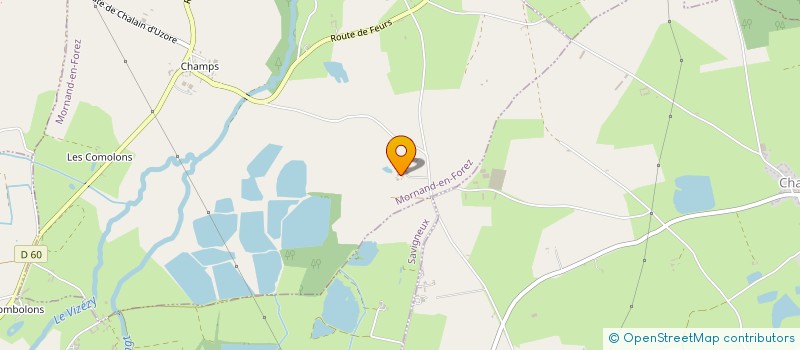 localisation de l'entreprise REBAUD  MORNAND-EN-FOREZ