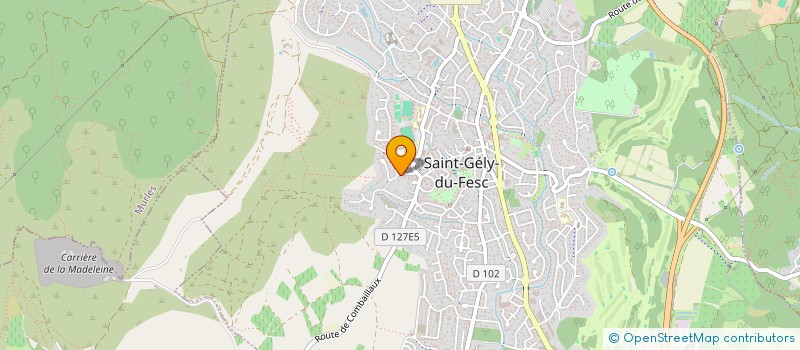 localisation de l'entreprise REBORN à SAINT-GELY-DU-FESC