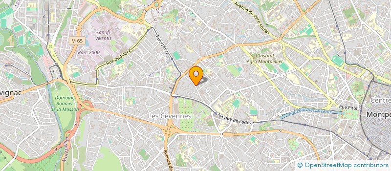 localisation de l'entreprise RECHER ACTION MANAG STRUC ETABL SOINS à MONTPELLIER
