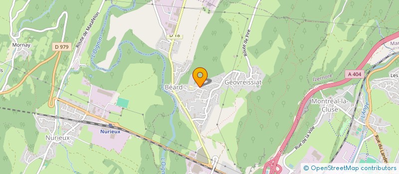 localisation de l'entreprise RECKLESS MOUNTAIN GOATS  BEARD-GEOVREISSIAT