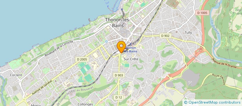 localisation de l'entreprise RECYCLAGE ELECTRONIQUE PAYS DE SAVOIE  THONON-LES-BAINS