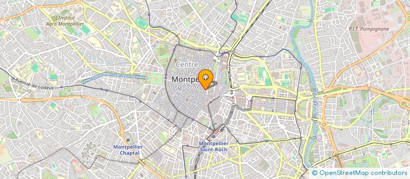 localisation de l'entreprise RED MONKEY PRODUCTION à MONTPELLIER