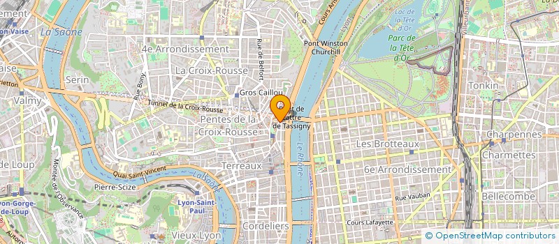 localisation de l'entreprise REDEMEX à LYON