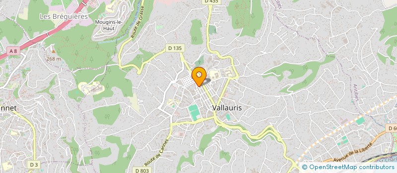 localisation de l'entreprise REDS CONSULTING à VALLAURIS