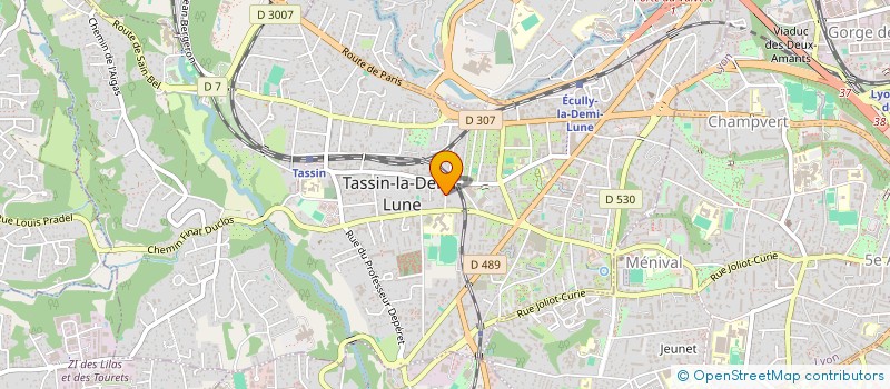 localisation de l'entreprise REELLEMENT HUMAIN à TASSIN-LA-DEMI-LUNE