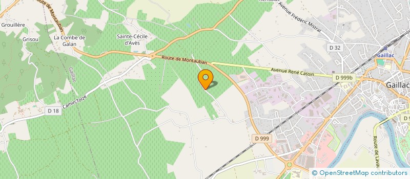 localisation de l'entreprise REFLEXOLOGIE BIEN-NAITRE  GAILLAC