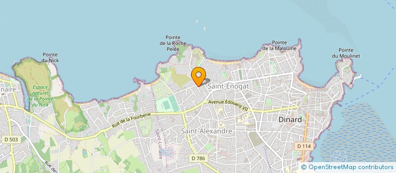 localisation de l'entreprise REGARDS CROISES SUR LE TENNIS  DINARD