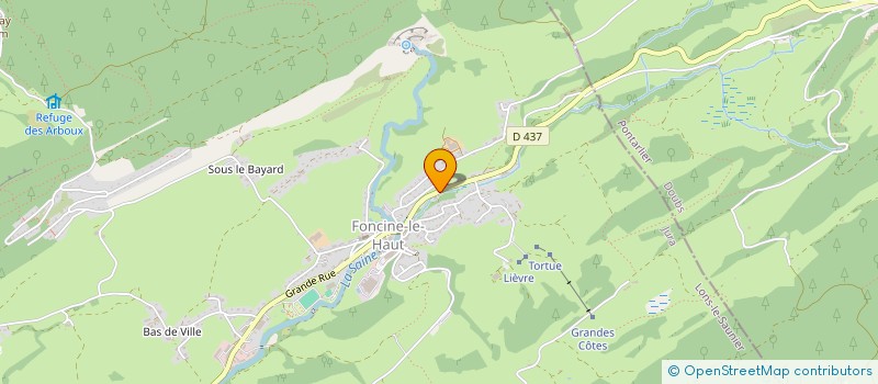 localisation de l'entreprise REGARDSUR TV  FONCINE-LE-HAUT